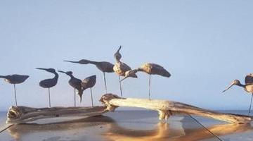 Workshop IJsvogels/steltlopertjes maken