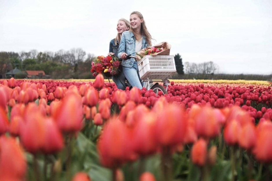 Fietsroutes Tulip Festival