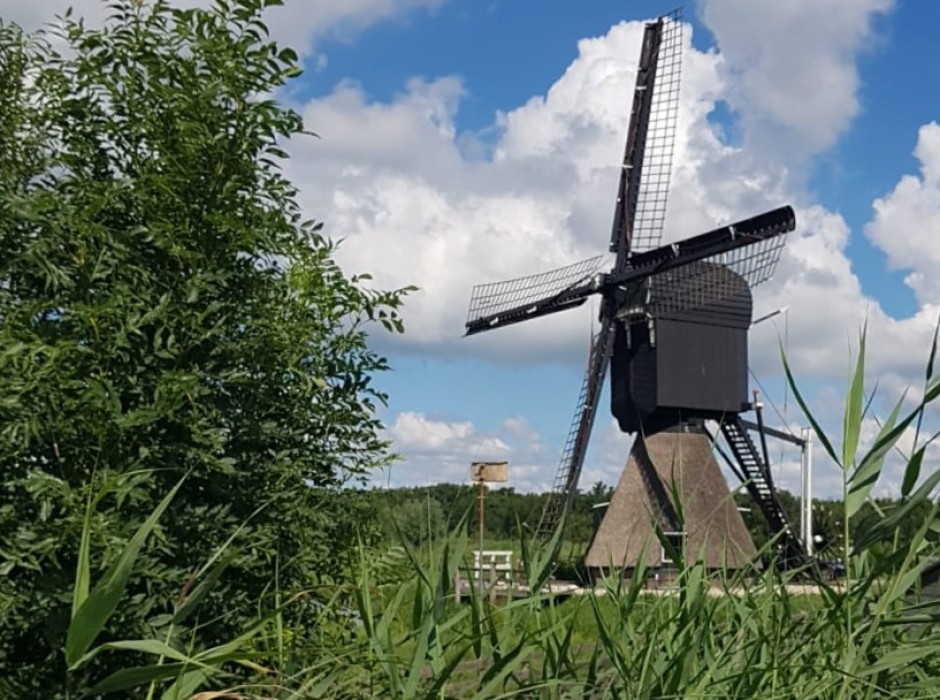 Wandelroute Noordse buurt