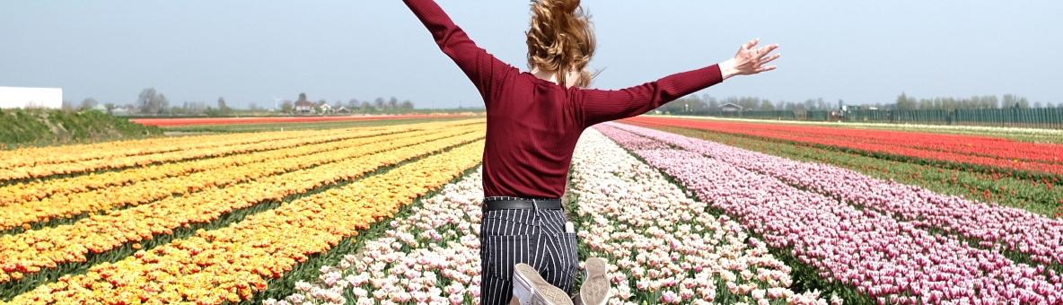 Flowers & Keukenhof