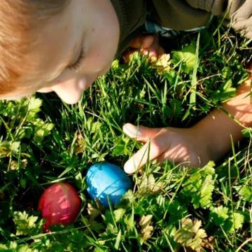 OERRR Varen naar Paaseiland - Nieuwkoopse Plassen